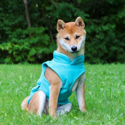 pull-chien-bleu-ciel-polaire-chaude-puppyheat