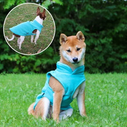 Pull Chien | Puppyheat™