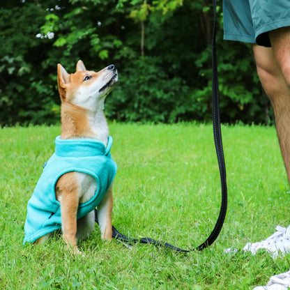Pull Chien | Puppyheat™