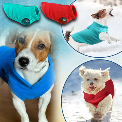 pull-chien-couleurs-rouge-bleu