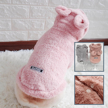 pull-chien-couleurs