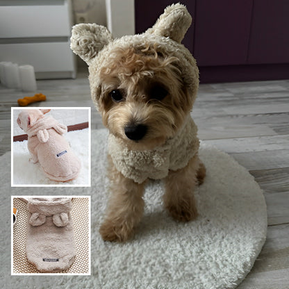 pull-chien-design