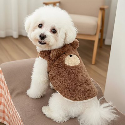 Pull Chien doux et chaud porté par caniche 