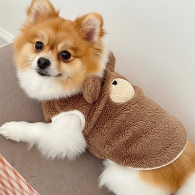 Pull Chien doux et thermique porté par chiwawa