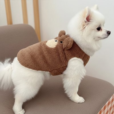Pull Chien doux marron thermique sur petit chien