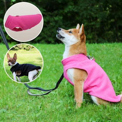 Pull Chien | Puppyheat™
