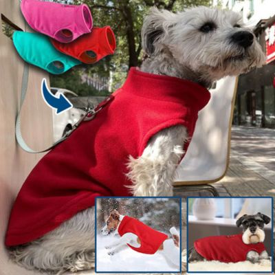 pull-chien-hiver-rouge
