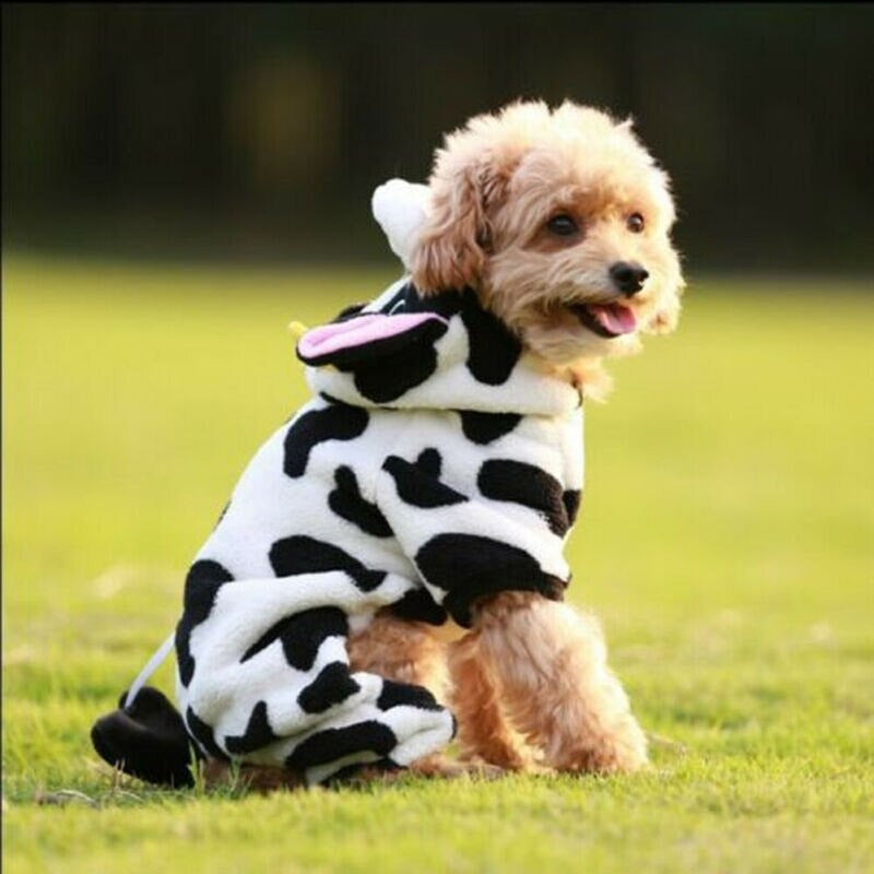 pull-chien-lavable-durable-motif-vache-anipet