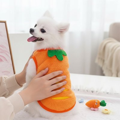 Pull chien orange carotte mignon