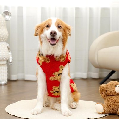 Pull Chien rouge motifs teddy Bear mignon