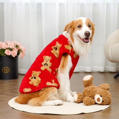 Pull Chien rouge vif motifs teddy Bear mignon
