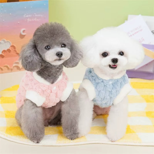 pull-pour-chien-bleu-et-rose-clair-petit-chien-cozypaws