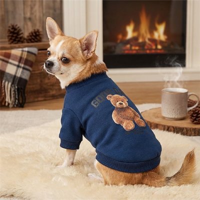 Pull pour Chien bleu motif ourson mignon