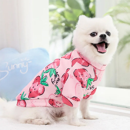 pull-pour-chien-confortable-rigolo-pupcalin