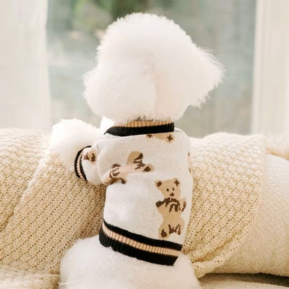 pull-pour-chien-design-teddypet