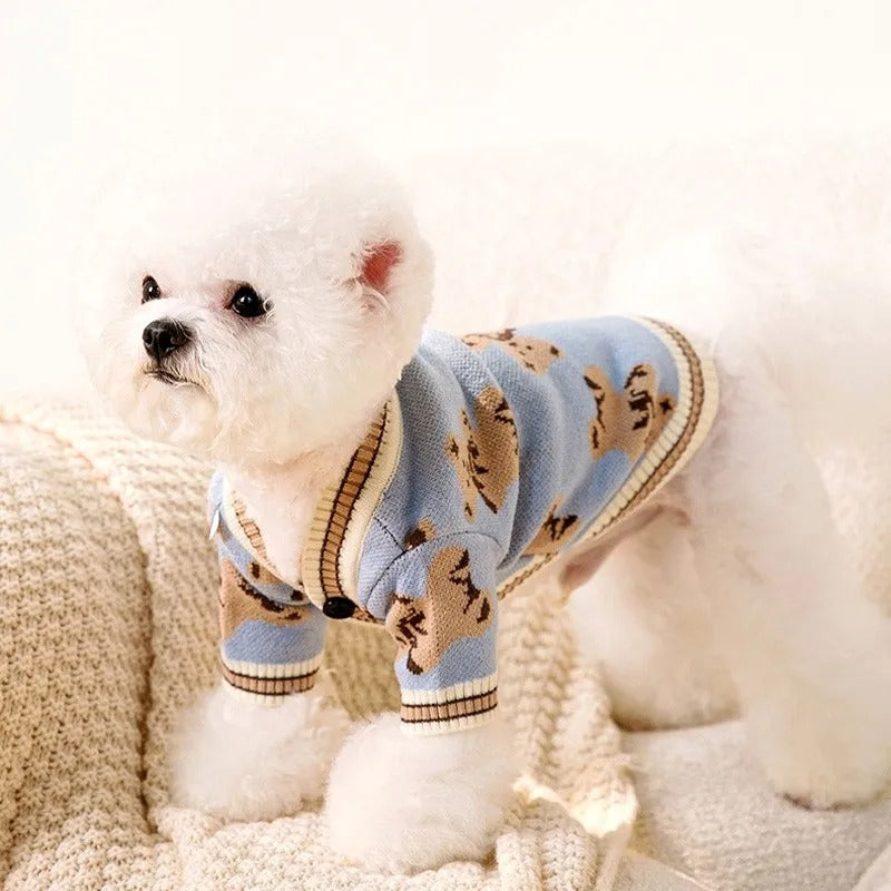 pull-pour-chien-doux-teddypet