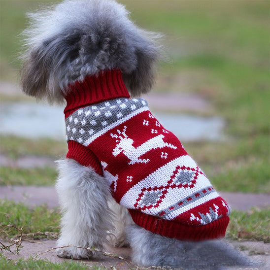 pull-pour-chien-festif-noel-puppychristmas