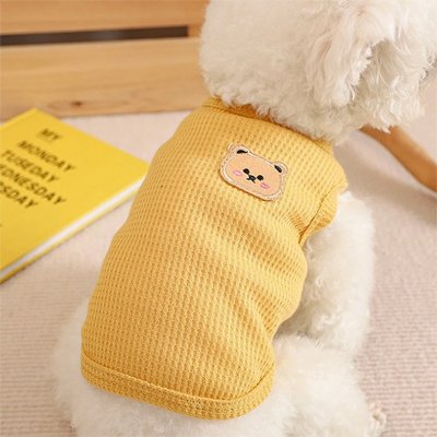 Pull pour Chien jaune motif ourson mignon