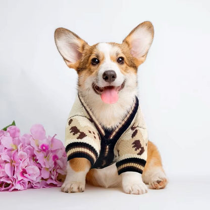 pull-pour-chien-marron-teddypet