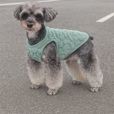 Pull pour Chien porté par caniche