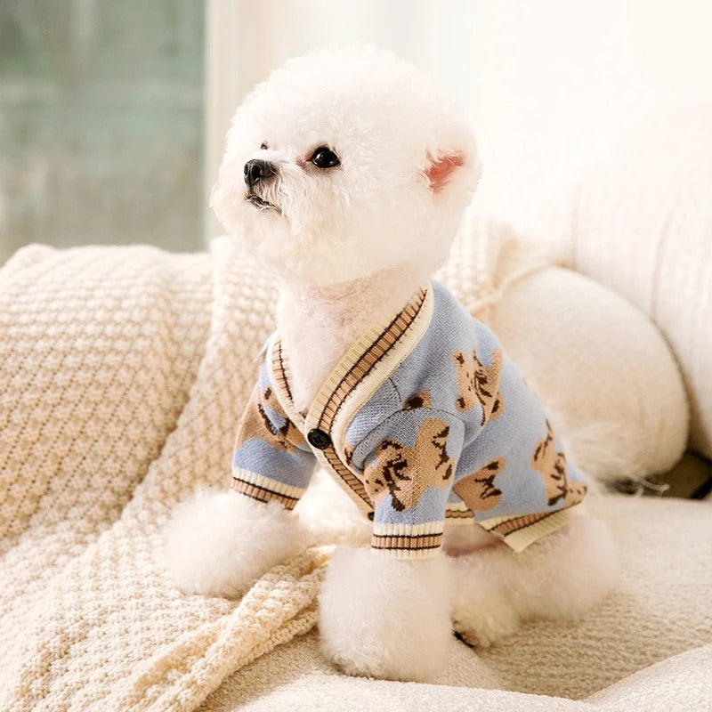pull-pour-chien-resistant-teddypet