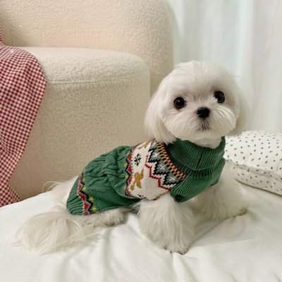 Pull pour Chien vert sapin bichon mignon