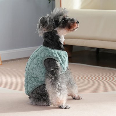 Pull pour Chien vert tout doux confortable
