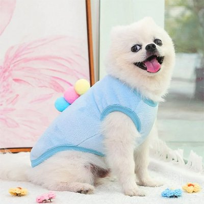 Pull pour petit chien bleu motif glace relief