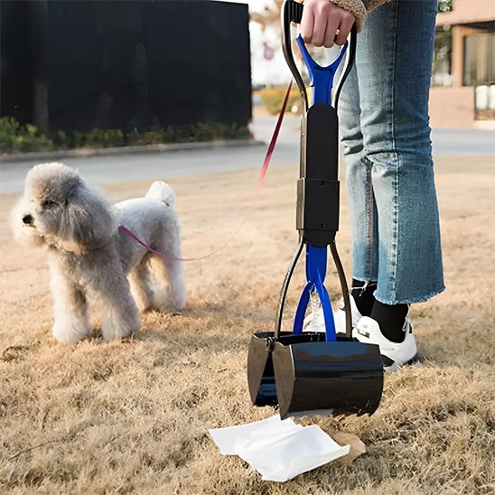 ramasse crotte pour chien bleu et noir avec bichon frisé 