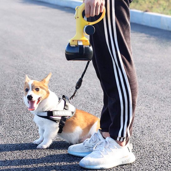 ramasse crottes pour chien jaune et noir zero contact 