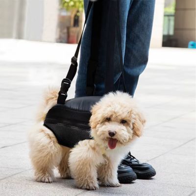 sac-a-dos-chien-2-en-1-confortable-respirant-pataventure