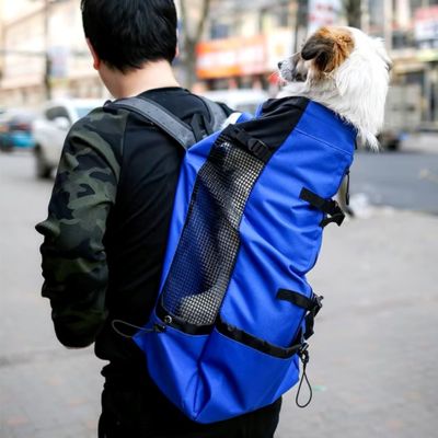 sac-a-dos-chien-bleu-transport-randonnee-plein-air-randopet