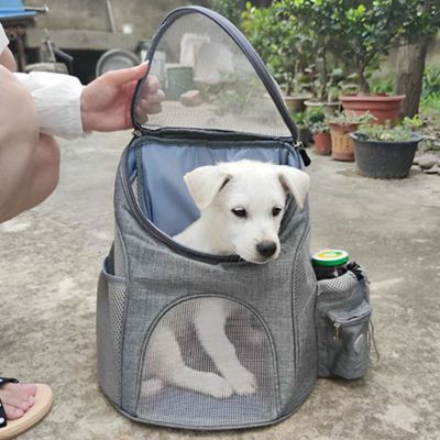 sac-a-dos-chien-chiot-gris