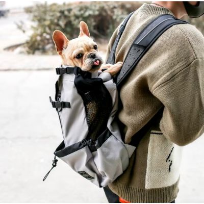 sac-a-dos-chien-gris-clair-randonnee-materiau-respirant-randopet