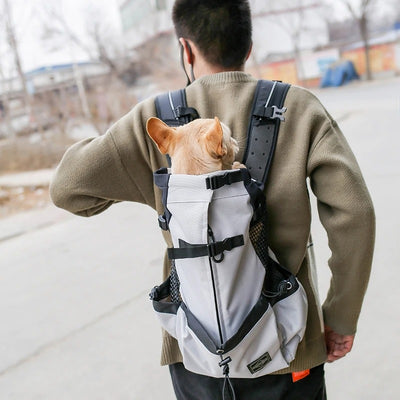 sac-a-dos-chien-gris-clair-transport-randonnee-polyvalent-randopet