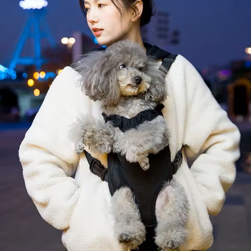 sac-a-dos-chien-noir-balade-pataventure
