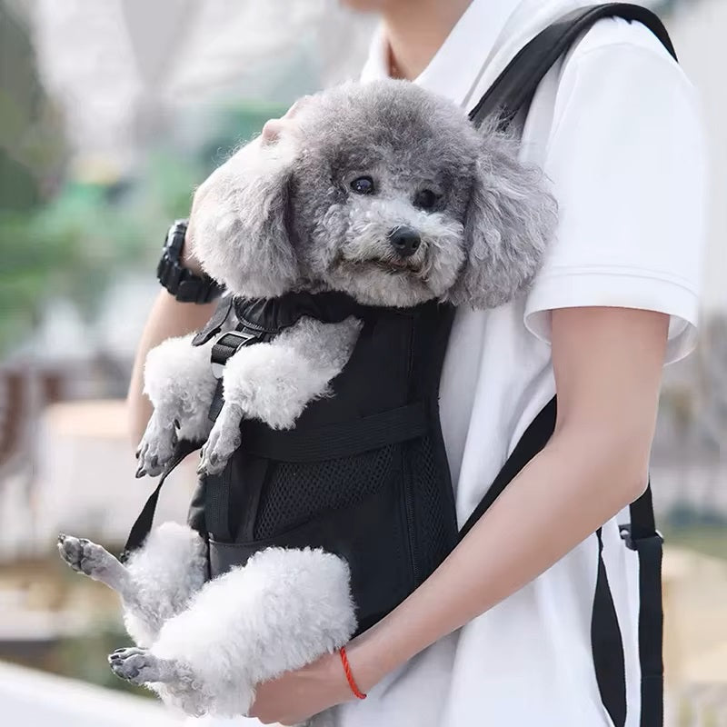 sac-a-dos-chien-noir-caniche-heureux-pataventure