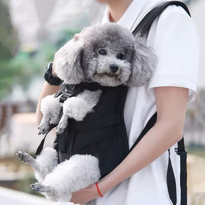 sac-a-dos-chien-noir-caniche-heureux-pataventure