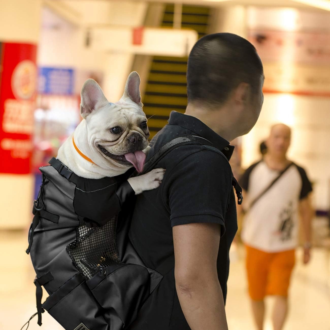 sac-a-dos-chien-noir-randonnee-bretelles-ajustables-randopet