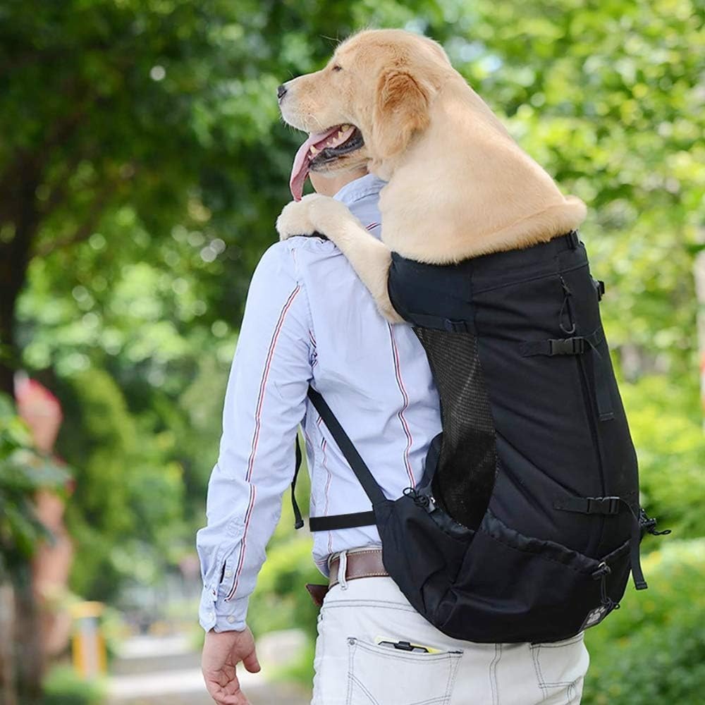 sac-a-dos-chien-noir-transport-randonnee-securite-randopet