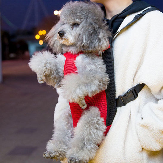 sac-a-dos-chien-rouge-caniche-heureux-pataventure1