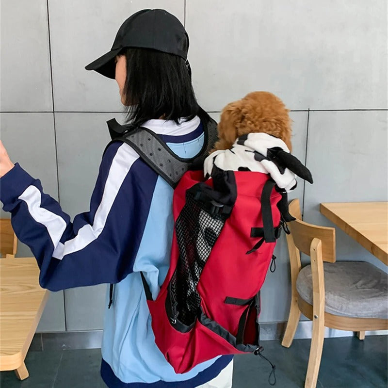 sac-a-dos-chien-rouge-randonnee-mains-libres-randopet