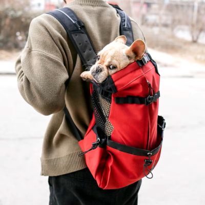 sac-a-dos-chien-rouge