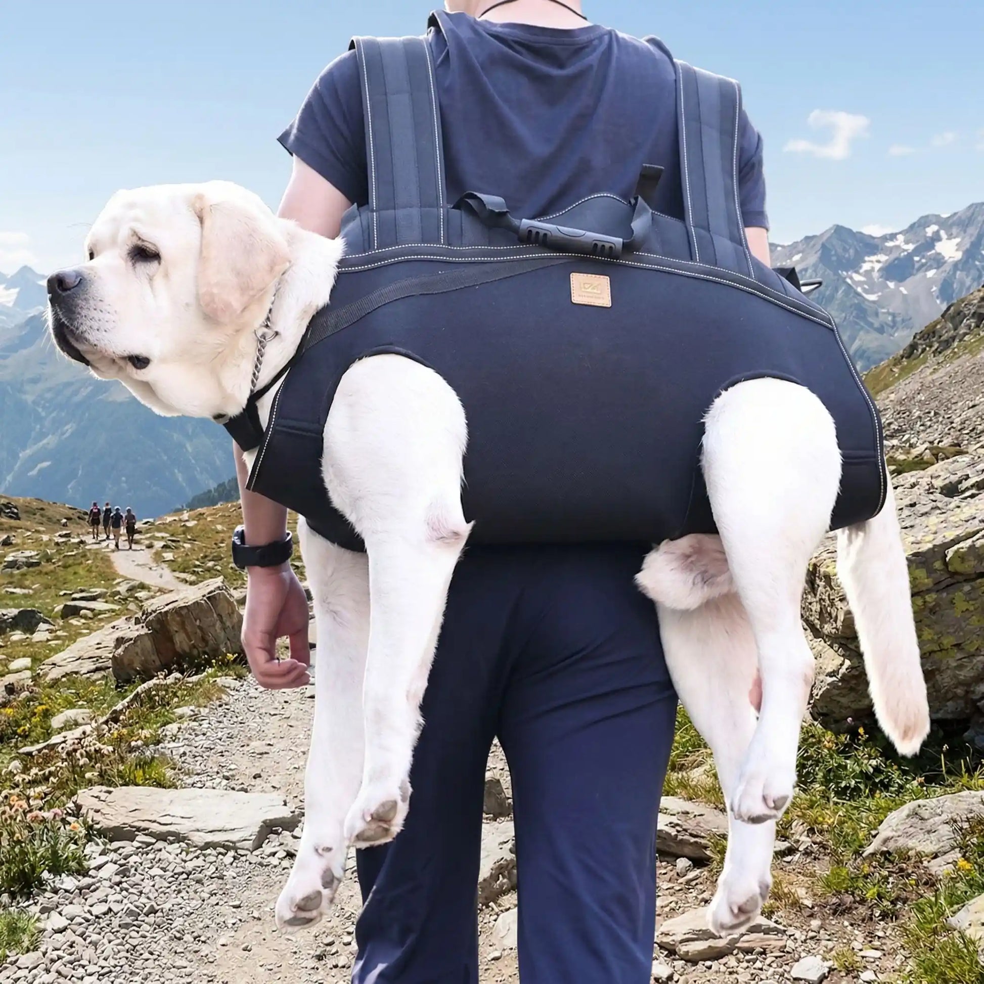 sac a dos portage chien AlpinePaws montagne