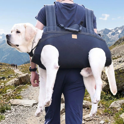 sac a dos portage chien AlpinePaws montagne