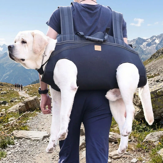 sac a dos portage chien AlpinePaws montagne