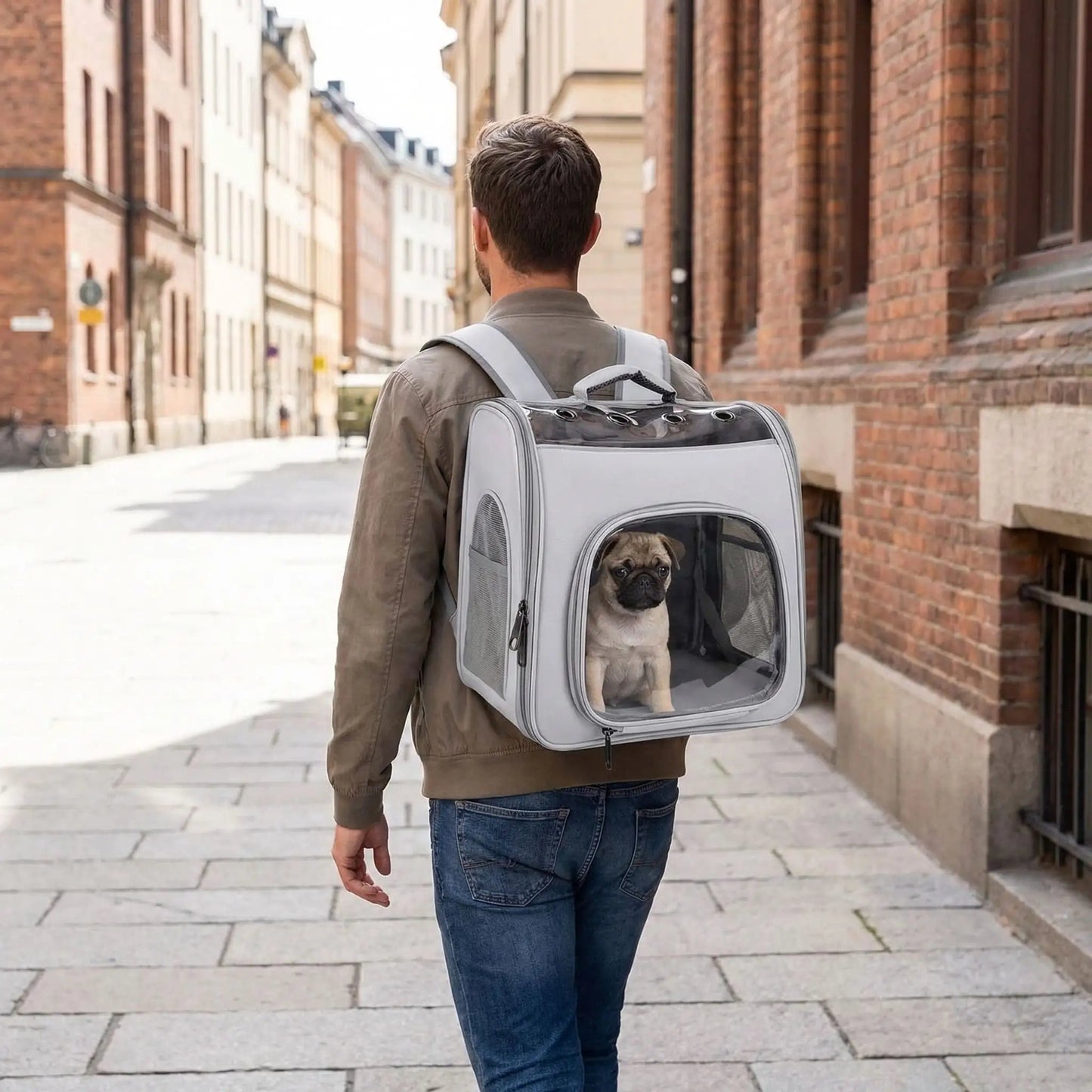 sac a dos portage chien panoradog gris bulldog