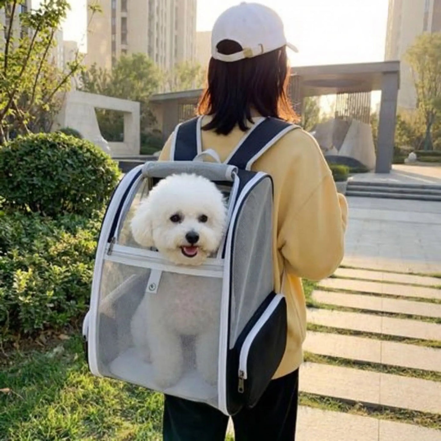 sac a dos portage chien PawHike noir bichon