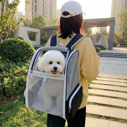 sac a dos portage chien PawHike noir bichon