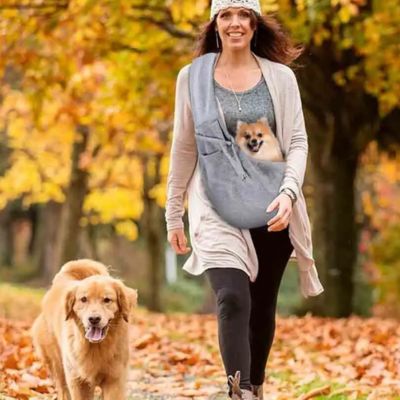 sac-de-transport-chien-baladessac-de-transport-chien-itinerant-cockybag